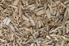biomass boilers Felinfach